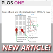 Bouts of rest and physical activity in C57BL/6J mice